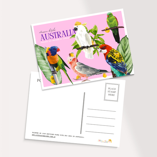Australia Birds Postcard (Parrots)