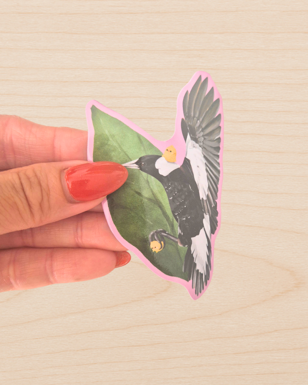 Australian Magpie Sticker