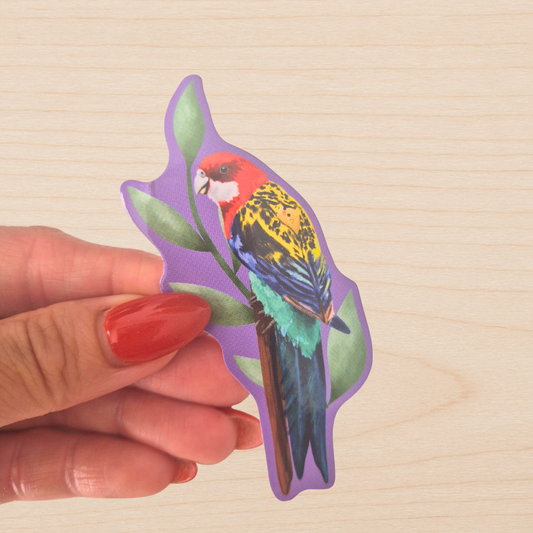 Eastern Rosella Sticker