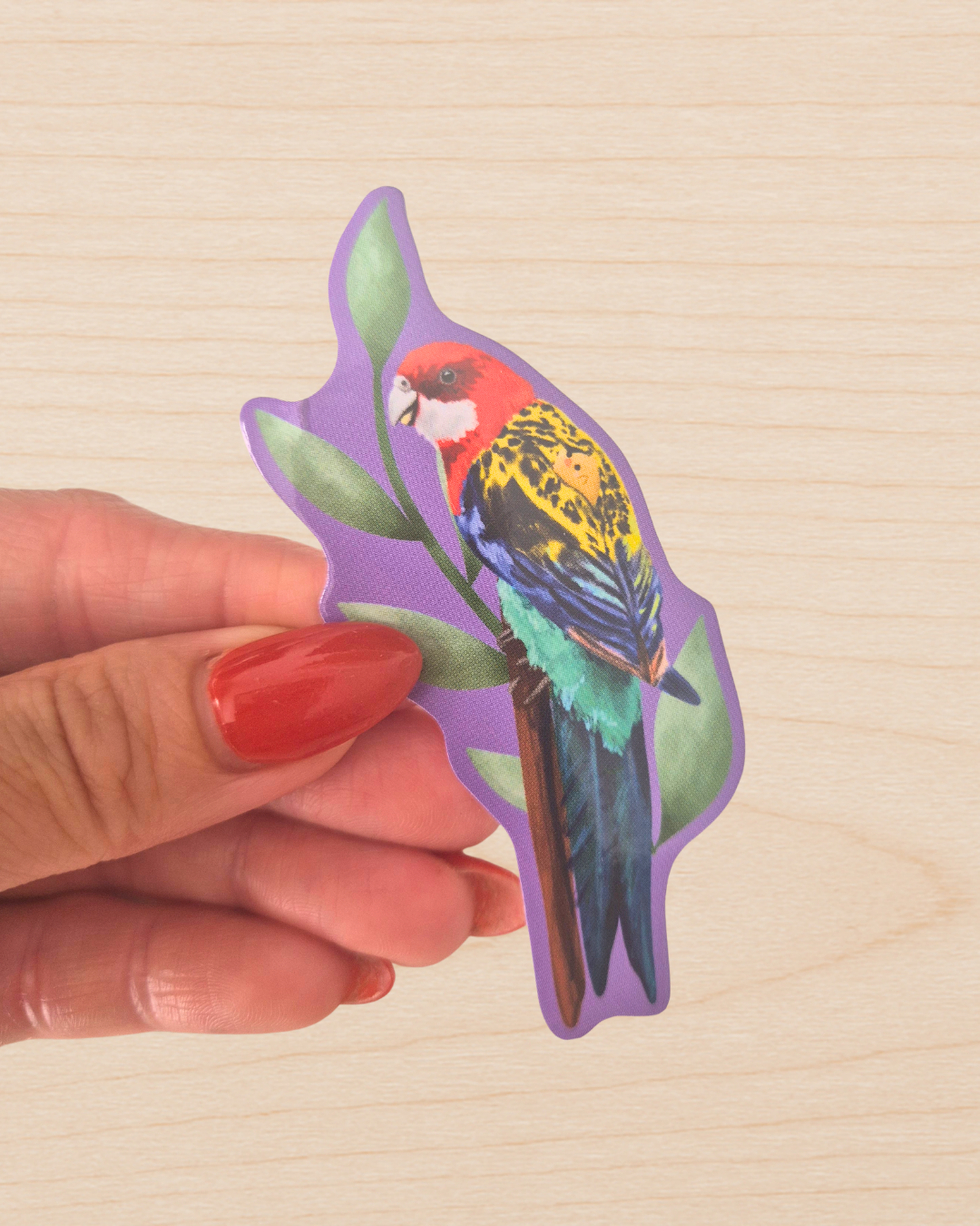 Eastern Rosella Sticker