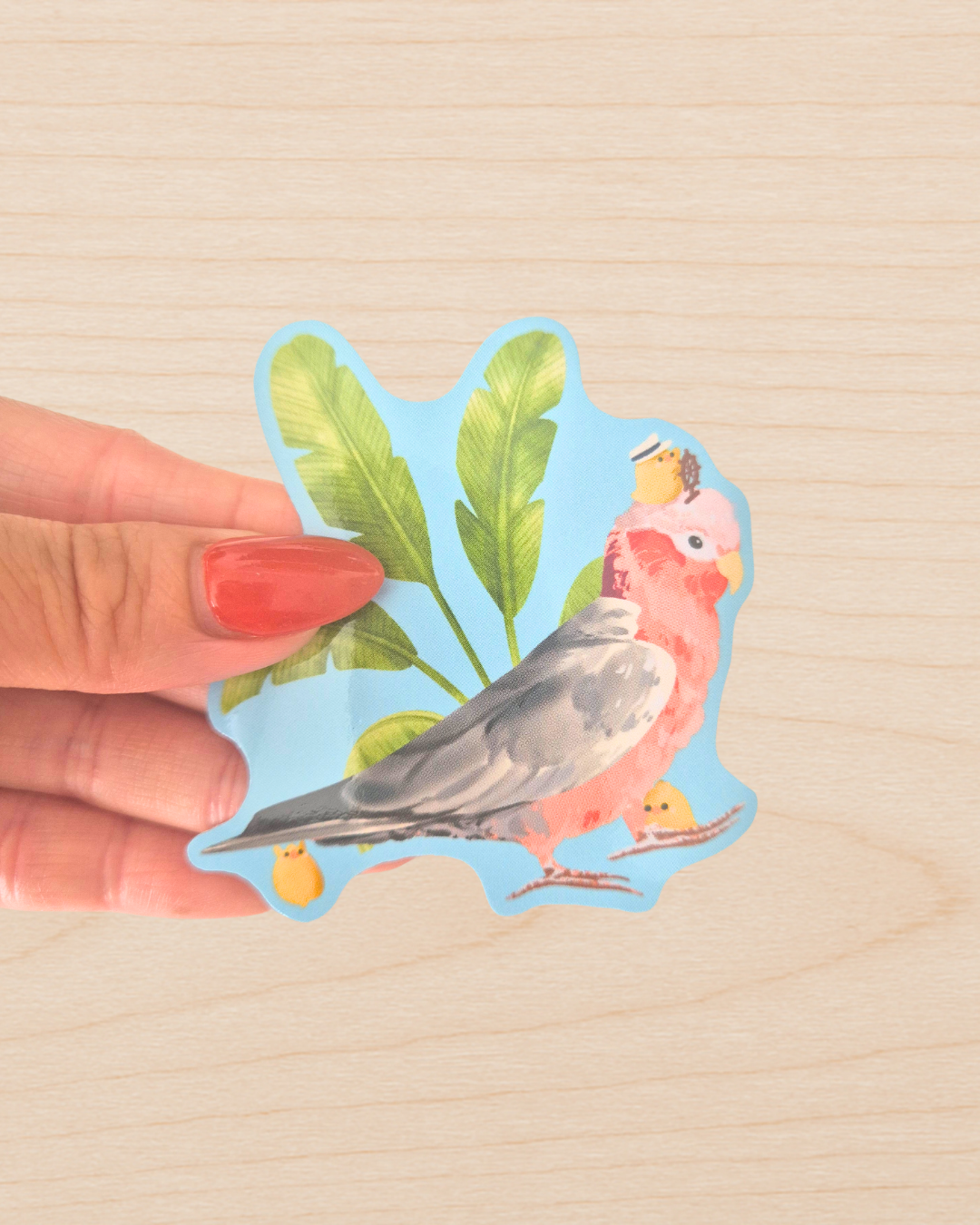 Galah Sticker