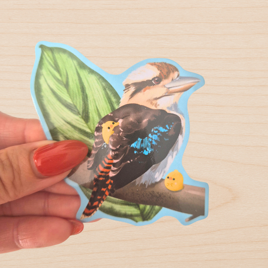 Kookaburra Sticker
