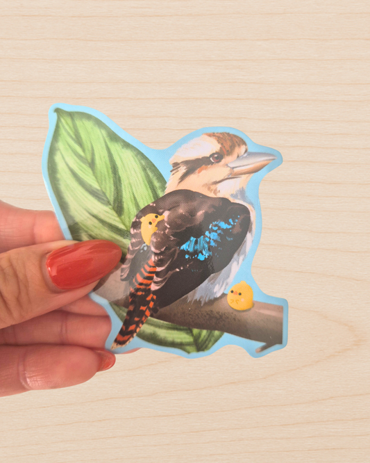 Kookaburra Sticker