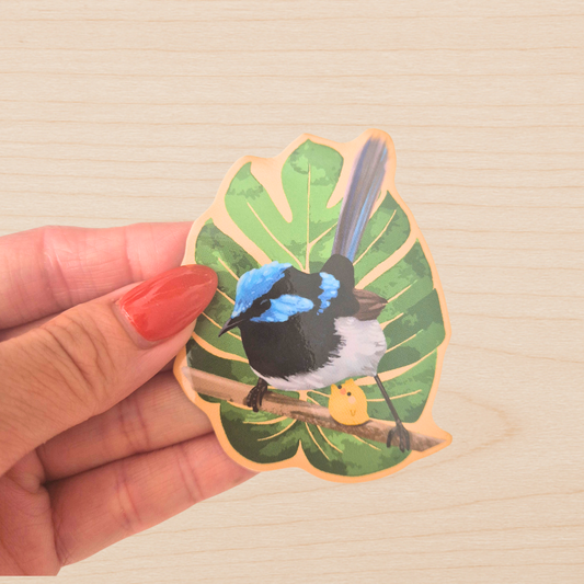 Superb Fairywren Sticker