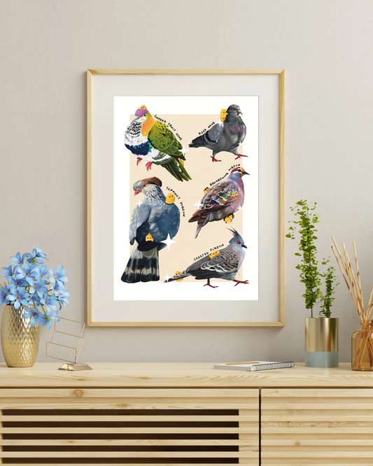 Australian Birds (Pigeons) Art Print
