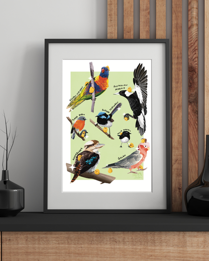 Australian Birds 1 Art Print
