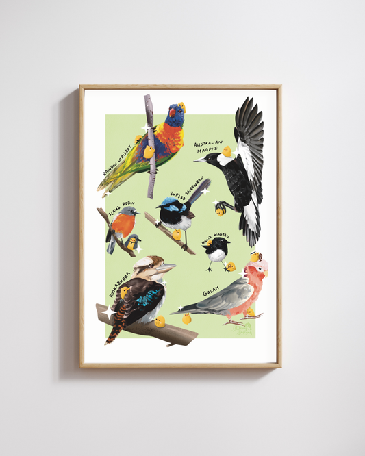 Australian Birds 1 Art Print