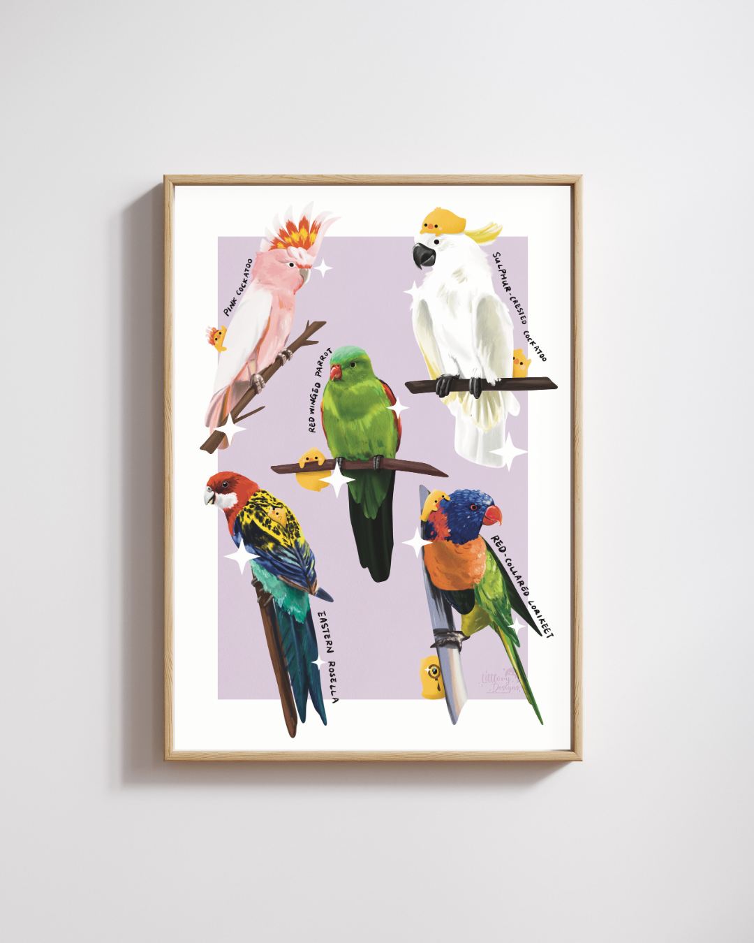 Australian Birds (Parrots) Art Print