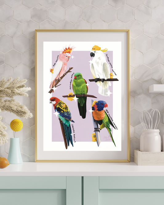Australian Birds (Parrots) Art Print