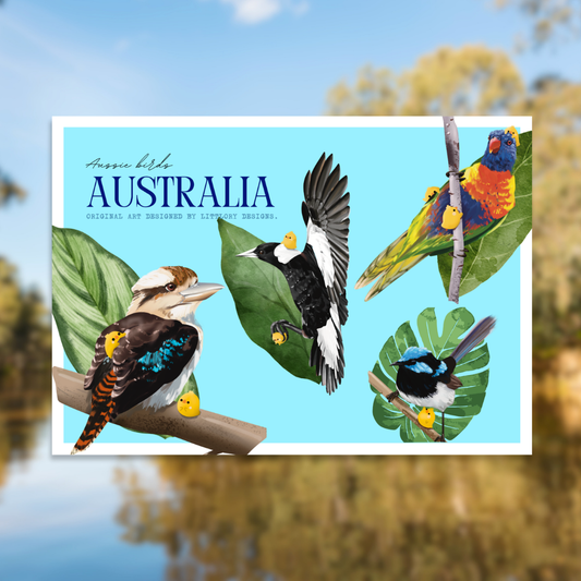 Australia Birds Postcard (Aussie Birds)