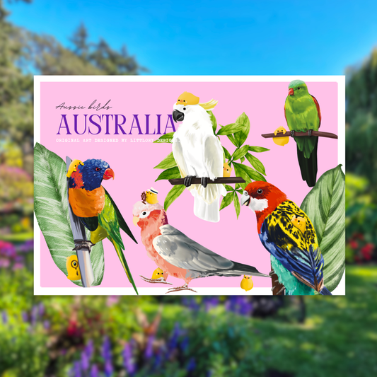 Australia Birds Postcard (Parrots)