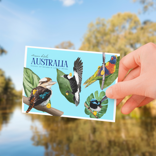 Australia Birds Postcard (blue)
