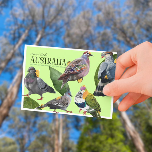 Australia Birds Postcard (green)