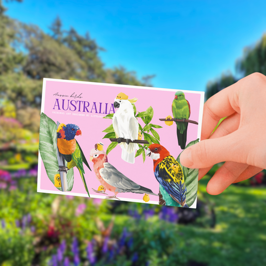 Australia Birds Postcard (pink)