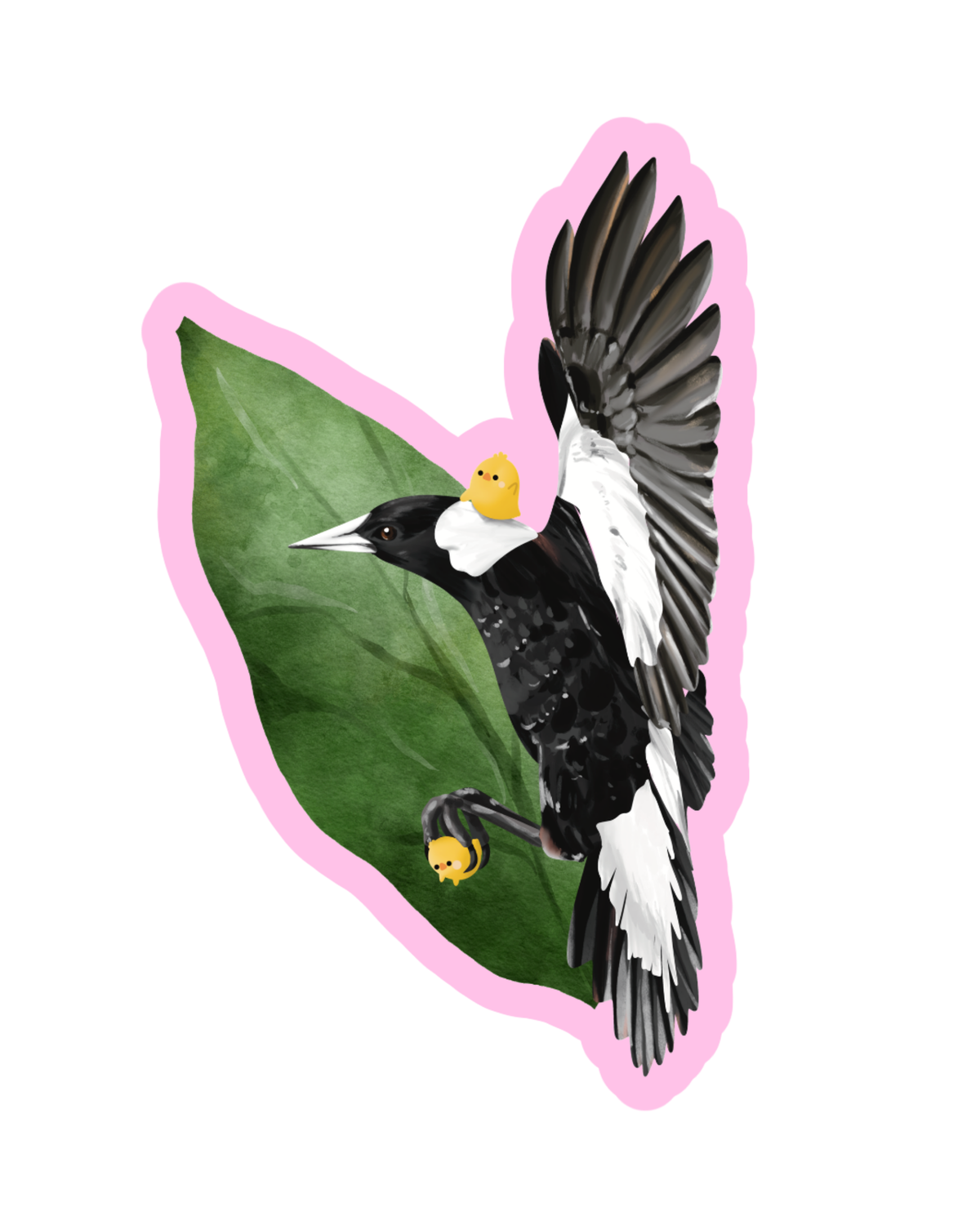 Australian Magpie Sticker