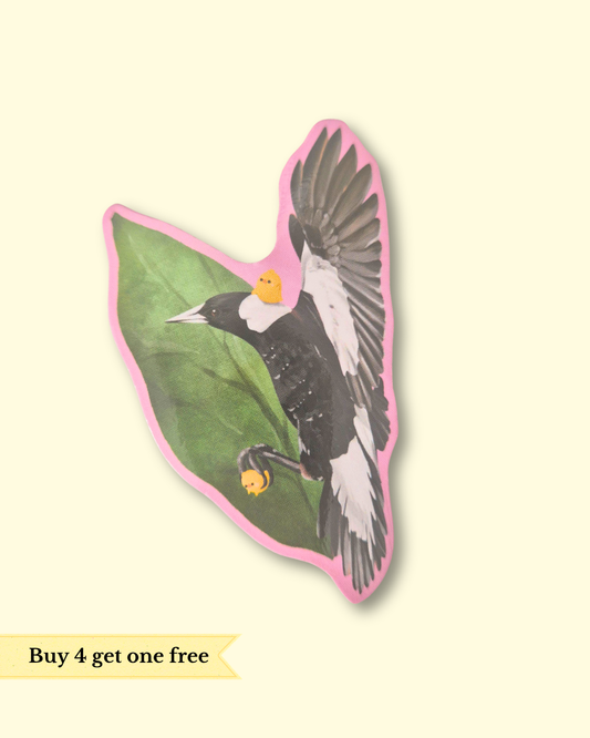 Australian Magpie Sticker