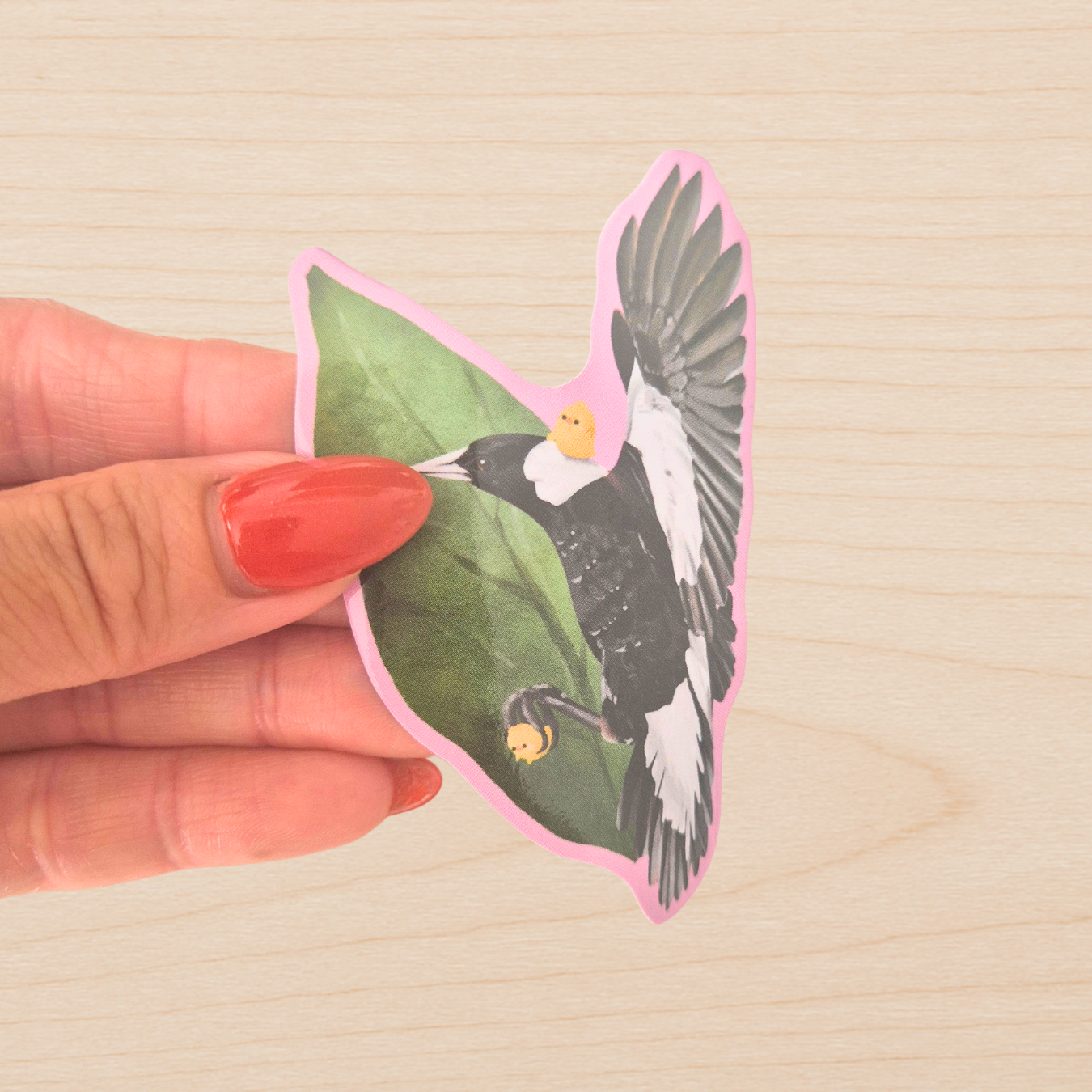Australian Magpie Sticker