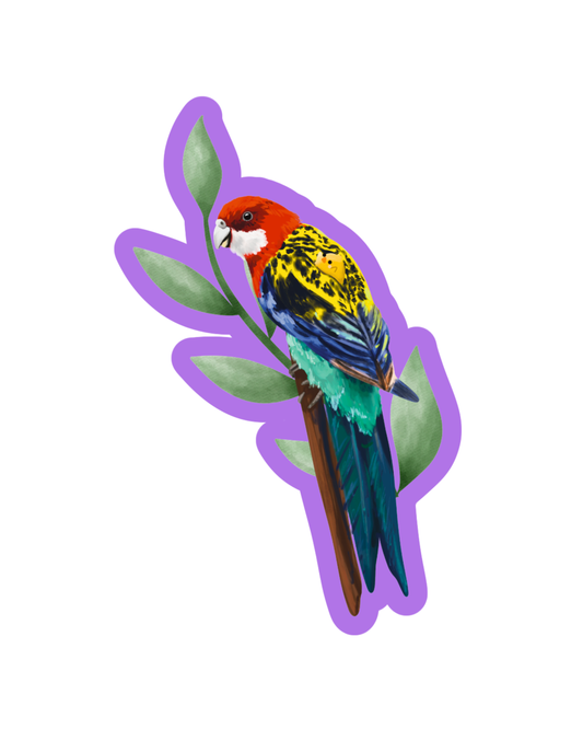 Eastern Rosella Sticker