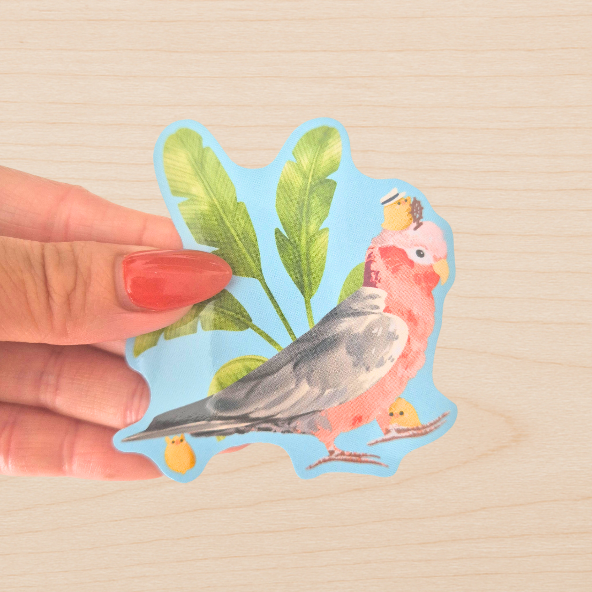 Galah Sticker
