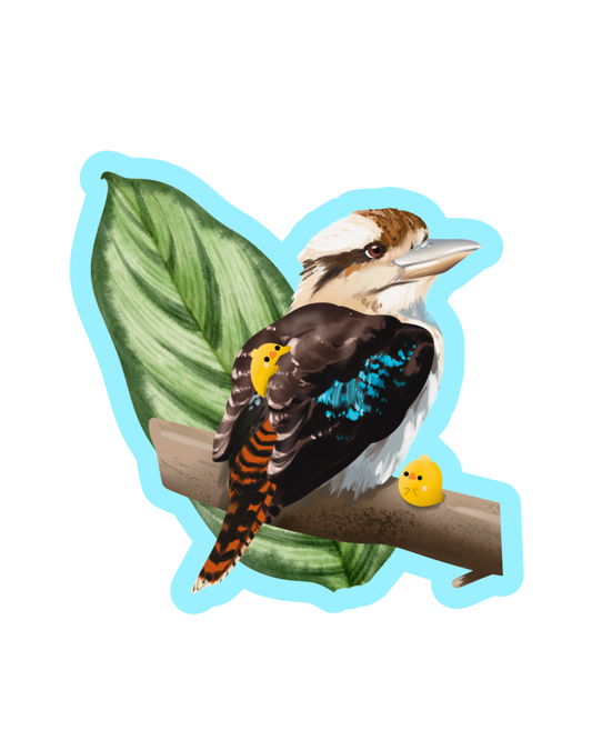 Kookaburra Sticker