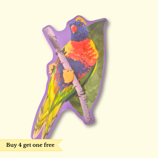 Rainbow Lorikeet Sticker