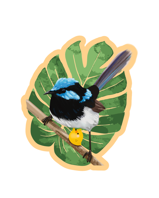 Superb Fairywren Sticker