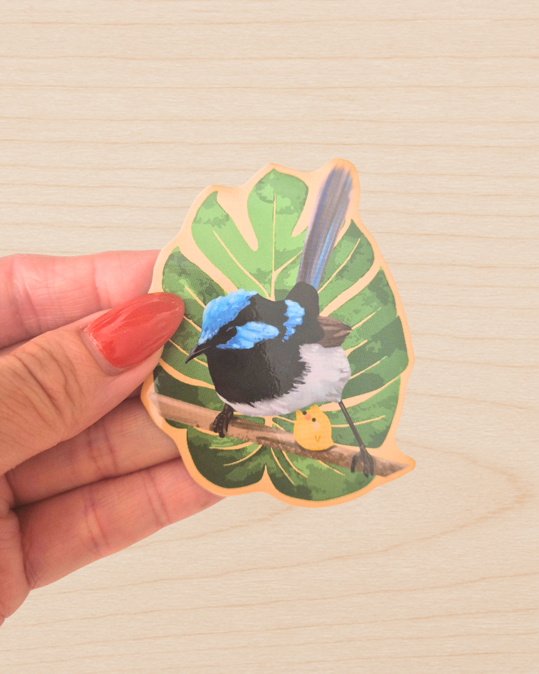 Superb Fairywren Sticker
