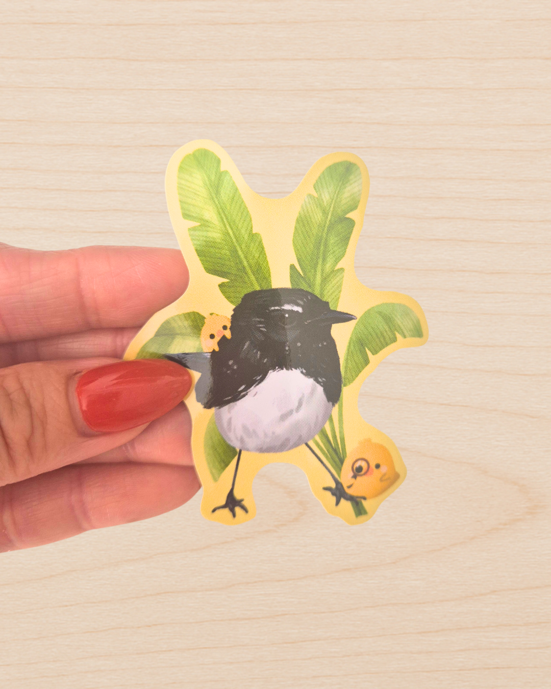 Willie Wagtail Sticker