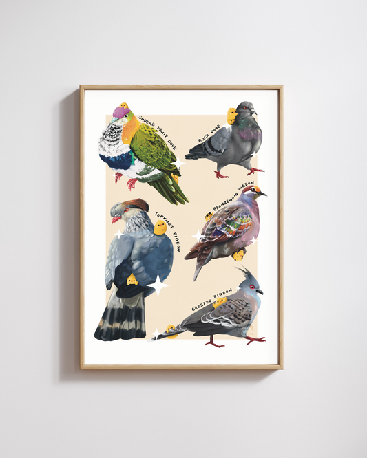 Australian Birds (Pigeons) Art Print